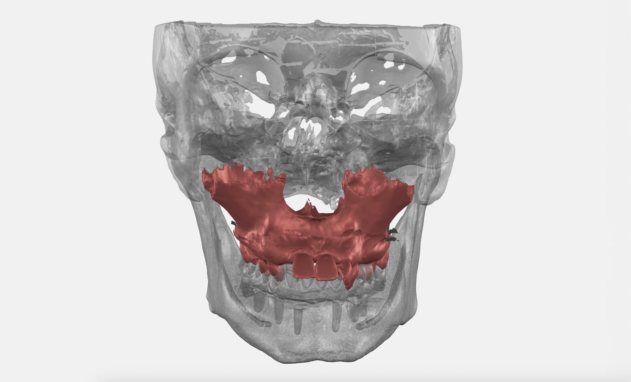 Digital Design with Biological Sense-1